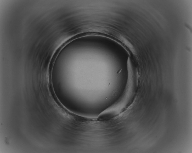 X0000092311028200709141349