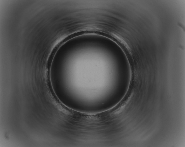 X0000092311029200709141349