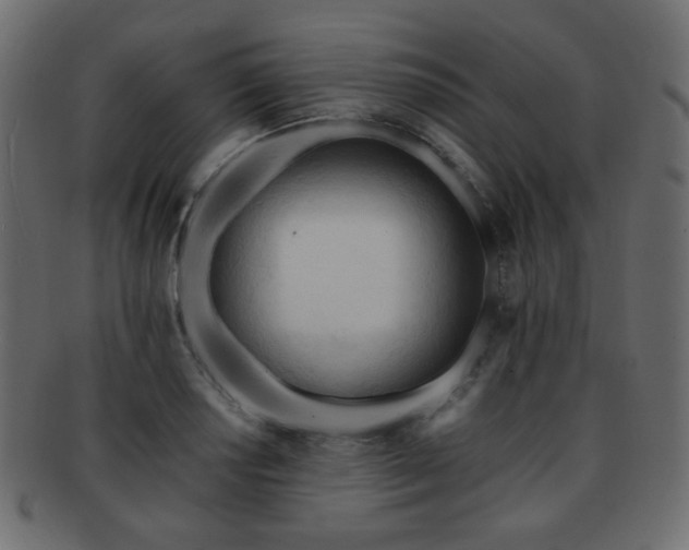 X0000092311034200709141349