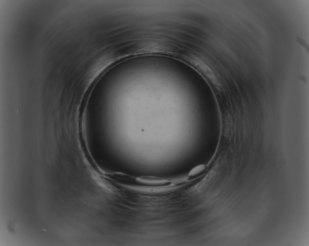 X0000092311039200709141349