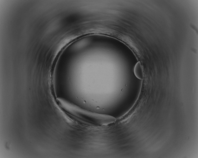 X0000092311040200709141349