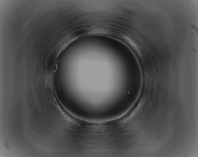 X0000092311041200709141349