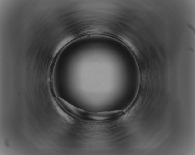 X0000092311042200709141349