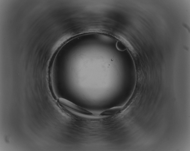 X0000092311043200709141349