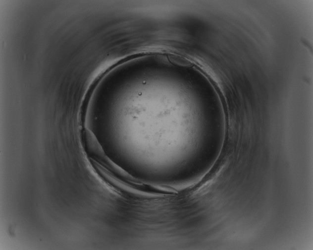 X0000092311045200709141349