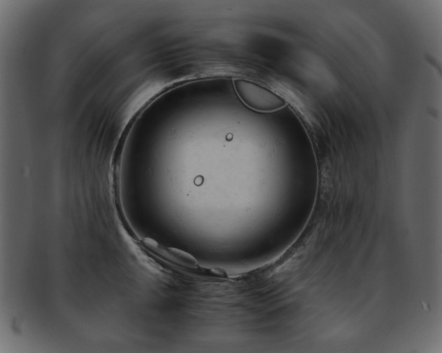 X0000092311047200709141349