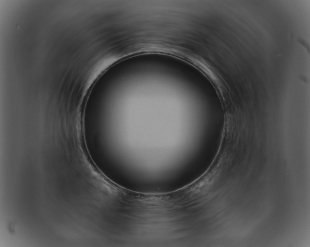 X0000092311048200709141349