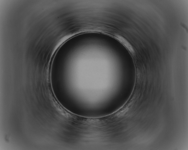 X0000092311052200709141349