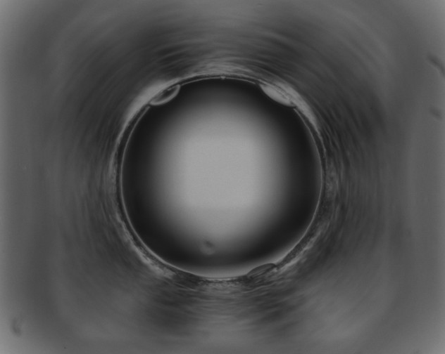 X0000092311053200709141349