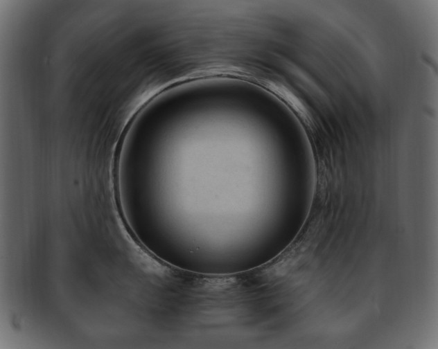 X0000092311055200709141349