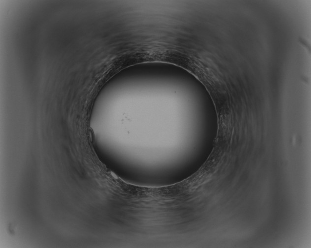 X0000092311057200709141349