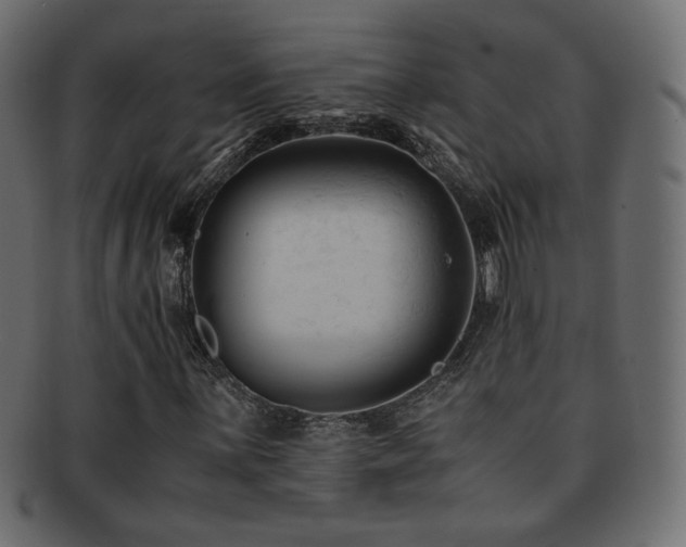 X0000092311059200709141349