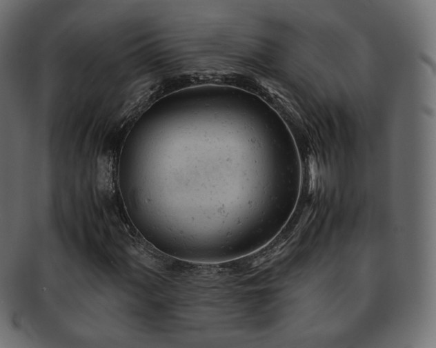 X0000092311060200709141349
