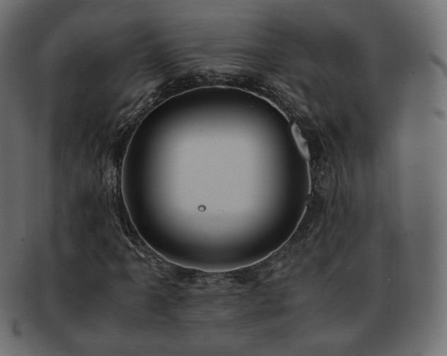 X0000092311061200709141349