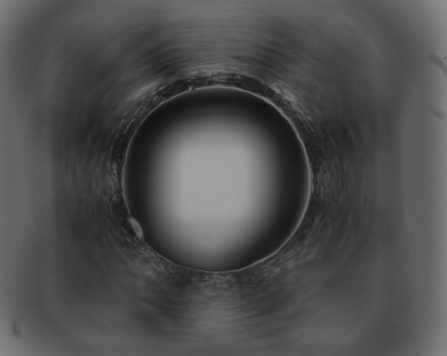 X0000092311062200709141349