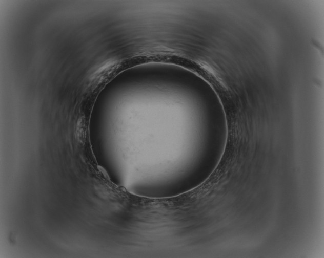 X0000092311063200709141349