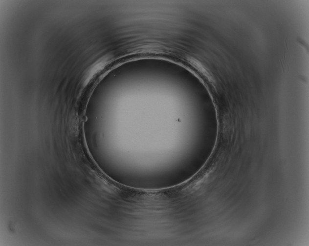 X0000092311067200709141349