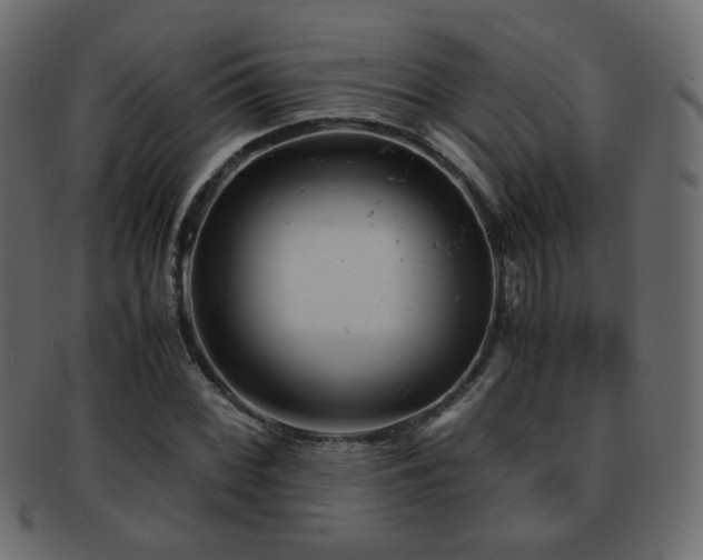 X0000092311068200709141349