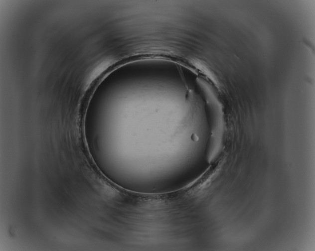 X0000092311071200709141349