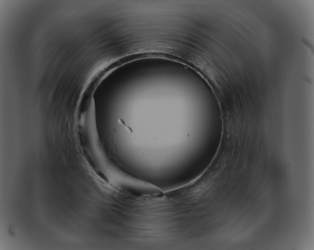 X0000092311072200709141349