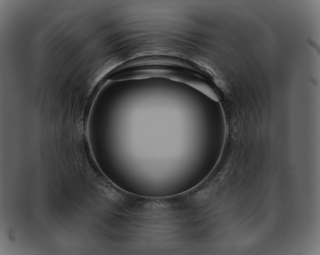 X0000092311073200709141349