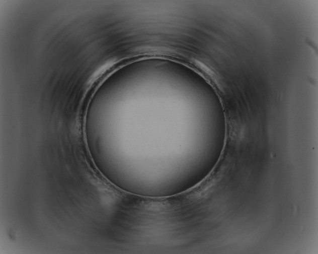 X0000092311074200709141349