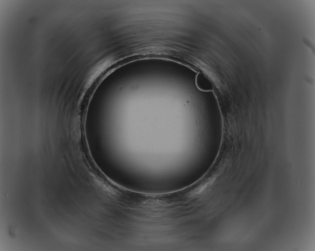 X0000092311075200709141349
