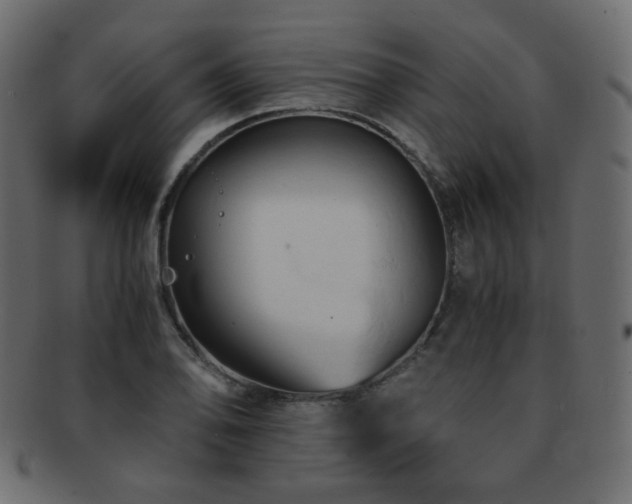 X0000092311078200709141349