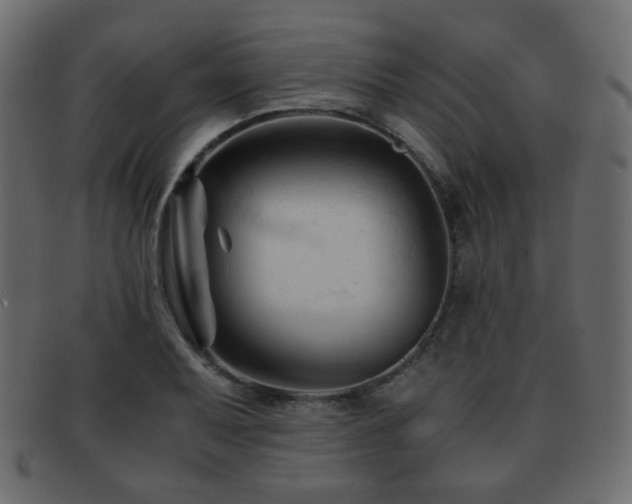 X0000092311079200709141349
