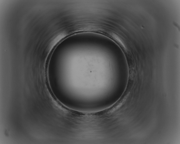 X0000092311087200709141348