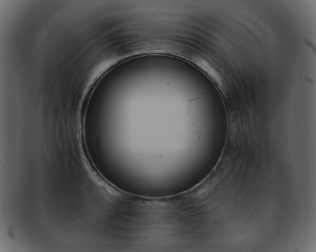 X0000092311088200709141348