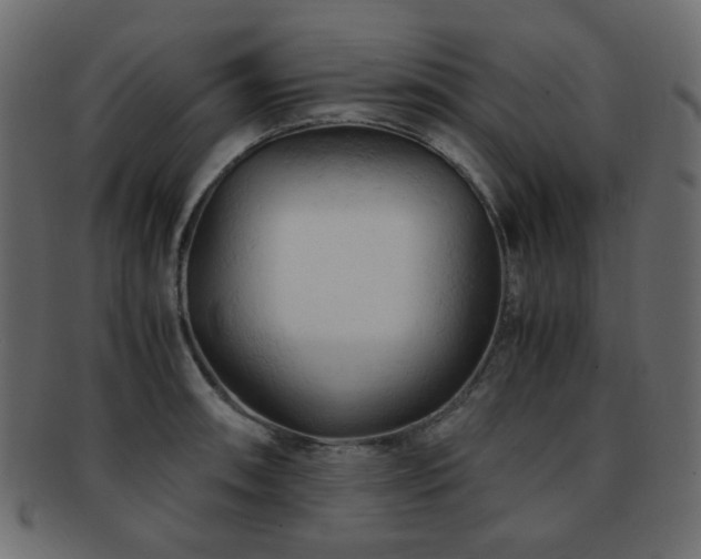 X0000092311090200709141348