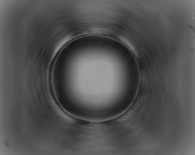 X0000092311091200709141348