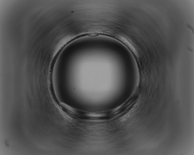 X0000092311093200709141348