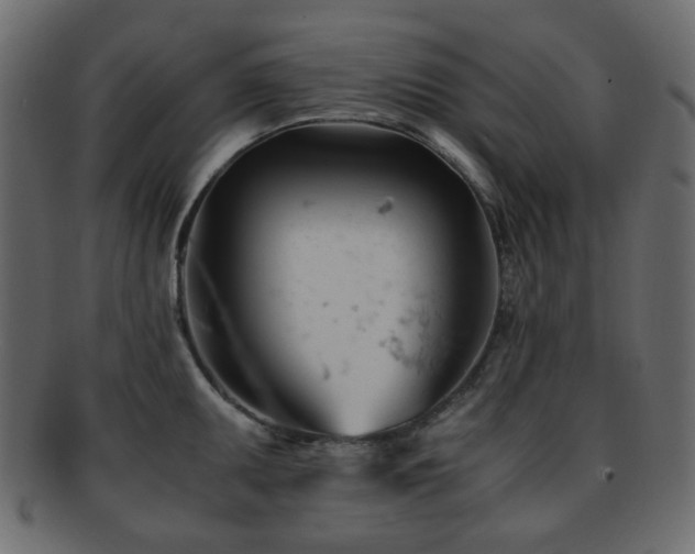 X0000092311095200709141348