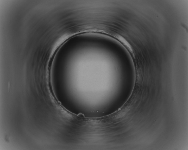X0000092311096200709141348