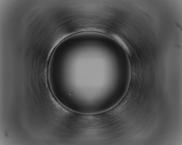 X0000092311100200709141348