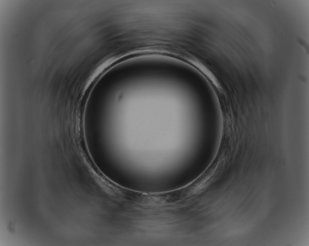 X0000092311101200709141348