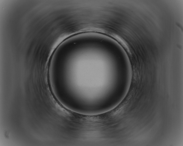 X0000092311102200709141348