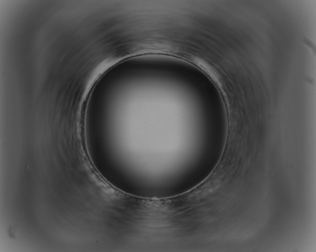 X0000092311104200709141348