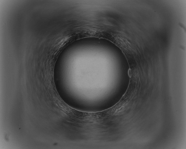 X0000092311105200709141347