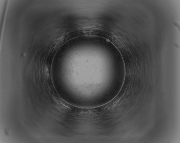 X0000092311106200709141347