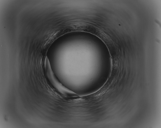 X0000092311108200709141348
