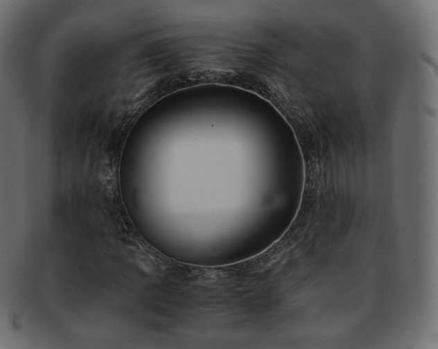 X0000092311109200709141348