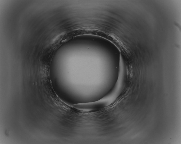 X0000092311110200709141348