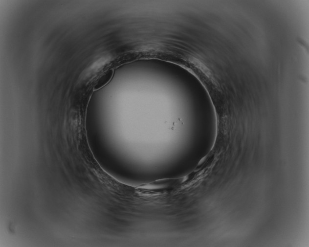 X0000092311111200709141348