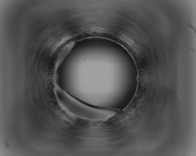 X0000092311112200709141348