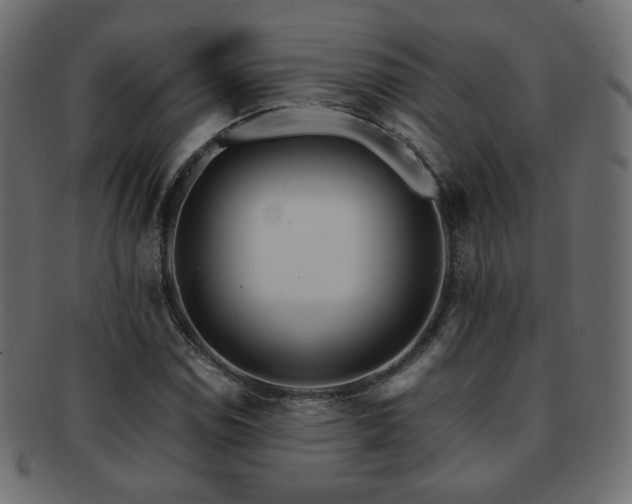 X0000092311114200709141348