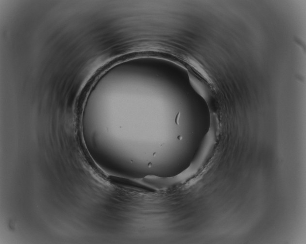 X0000092311116200709141348