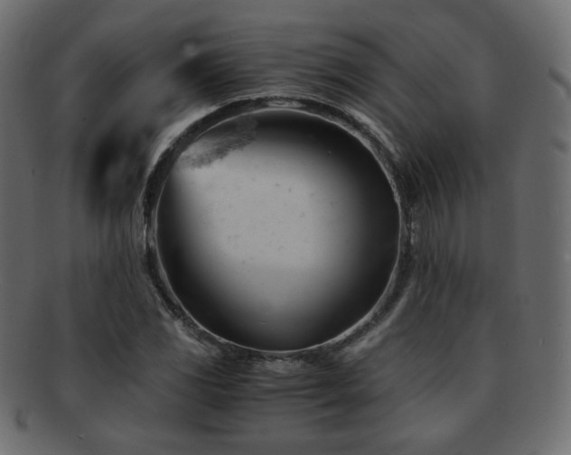 X0000092311117200709141348
